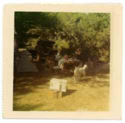 Sally and Scout, camping