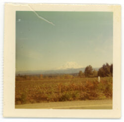 Mount Rainier